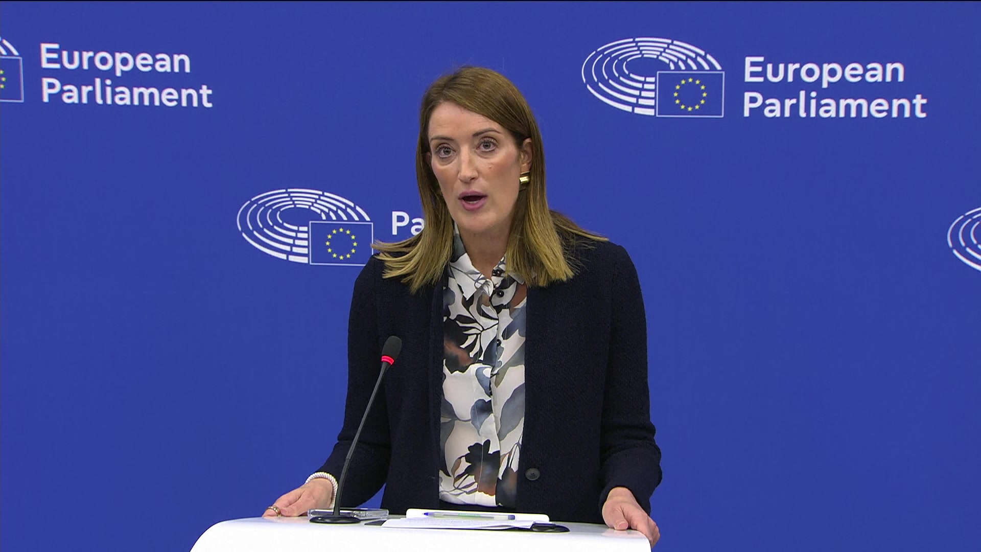 Press conference by Jörgen WARBORN (EPP, SE), rapporteur and Roberta METSOLA, EP President on simplified sustainability reporting and due diligence obligations for companies